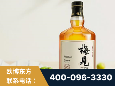 贺州-梅见青梅酒